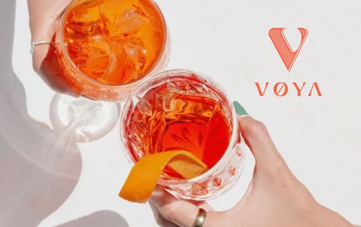 VOYA: Elevating Flavor and Quality for Horeca and B2B with Premium Ingredients